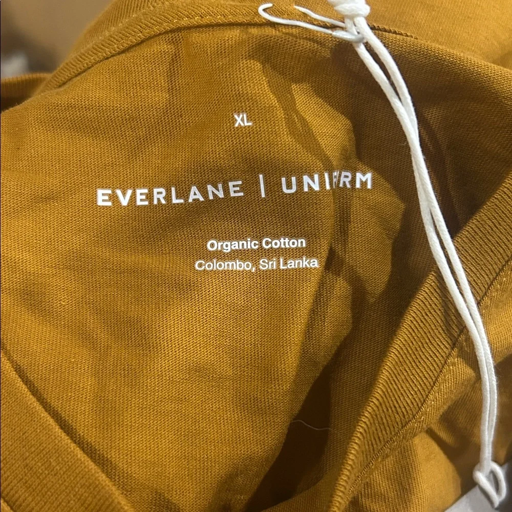 Everlane The Organic Cotton Crew | Uniform Spice XL - Picture 4 of 5